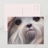 Shih Tzu Greetings Postcard Postkarte (Vorne/Hinten)