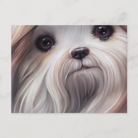 Shih Tzu Greetings Postcard Postkarte (Vorderseite)