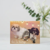 Shih Tzu Greetings Postkarte (Stehend Vorderseite)