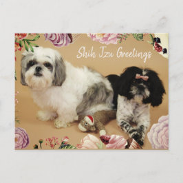 Shih Tzu Greetings Postkarte
