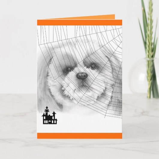 Shih Tzu Halloween Card Karte (Vorderseite)