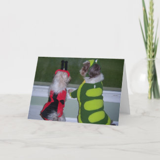 Shih Tzu Halloween Costume Greeting Card Karte