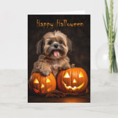 Shih Tzu Halloween Karte (Vorderseite)