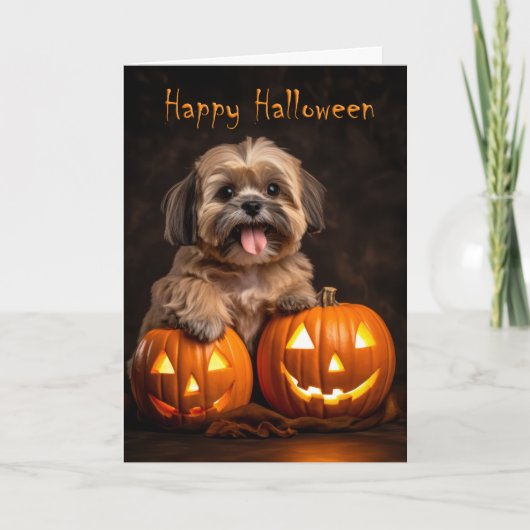 Shih Tzu Halloween Karte (Vorderseite)
