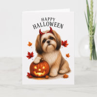 Shih Tzu Halloween Teufelshund
