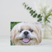 Shih Tzu Happy Face! Postkarte (Stehend Vorderseite)