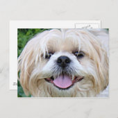 Shih Tzu Happy Face! Postkarte (Vorne/Hinten)