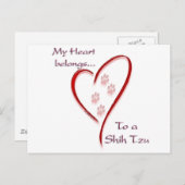 Shih Tzu Heart Belongs Postkarte (Vorne/Hinten)
