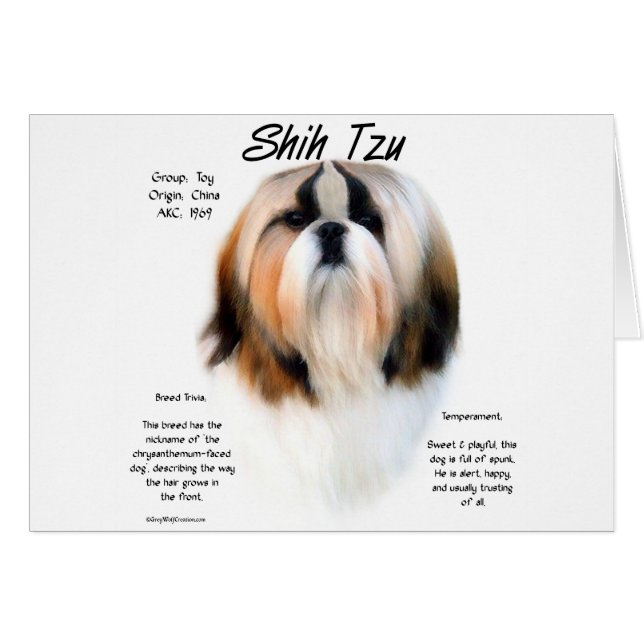Shih Tzu History Design (Vorderseite (Horizontal))