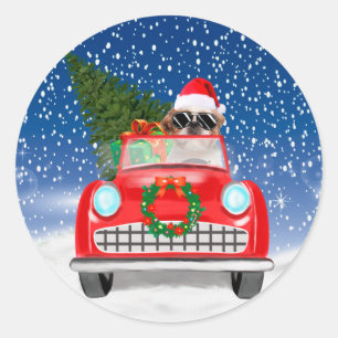 Shih Tzu Hund fährt Auto im Schnee Weihnachten   Runder Aufkleber