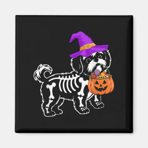 Shih Tzu Hund Halloween Soky Skelett Süßes oder Sa Magnet