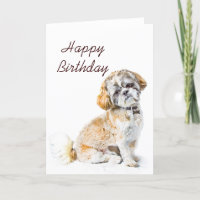Shih Tzu Hund Hund Happy Birthday Card