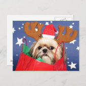 Shih Tzu Hund in einer roten Einkaufstasche Postkarte (Vorne/Hinten)