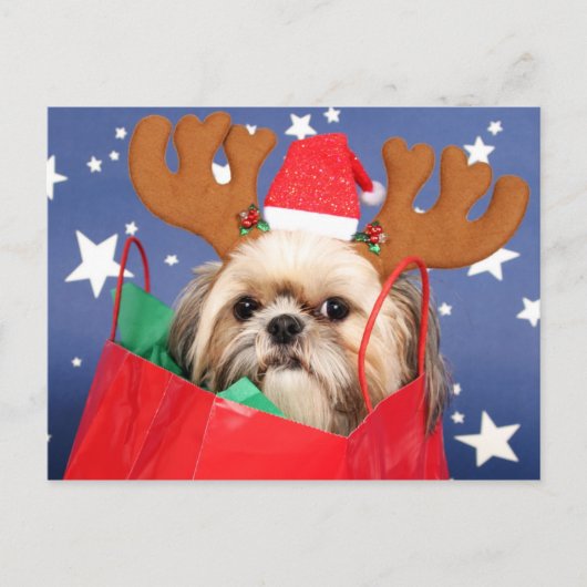 Shih Tzu Hund in einer roten Einkaufstasche Postkarte (Vorderseite)