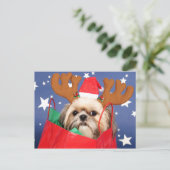 Shih Tzu Hund in einer roten Einkaufstasche Postkarte (Stehend Vorderseite)