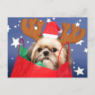 Shih Tzu Hund in einer roten Einkaufstasche Postkarte