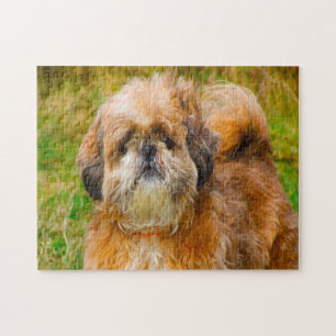 Shih Tzu Hund Jigsaws. Puzzle