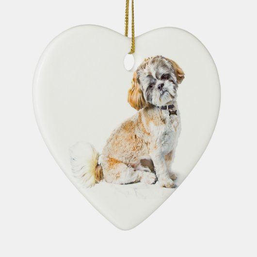 Shih Tzu Hund Ornament (Rechts)