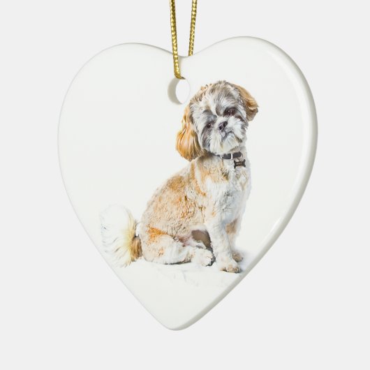 Shih Tzu Hund Ornament (Links)