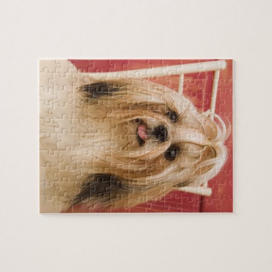 Shih-tzu-Hund Puzzle (Horizontal)
