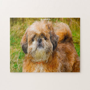 Shih Tzu Hund Puzzles. Puzzle Spiel