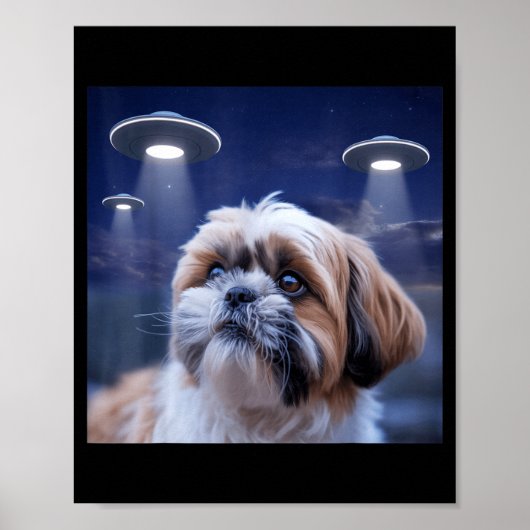 Shih tzu Hund shihtzu Hund Außerirdischer ufos shi Poster (Vorne)