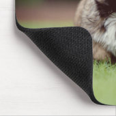 Shih tzu, Hund, Welpe Mousepad (Ecke)