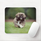 Shih tzu, Hund, Welpe Mousepad (Mit Mouse)