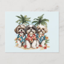 Shih Tzu Hunde tragen hawaiianische Shirts