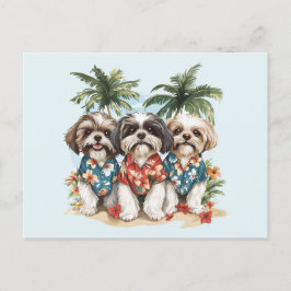 Shih Tzu Hunde tragen hawaiianische Shirts Postkarte