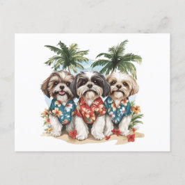 Shih Tzu Hunde tragen hawaiianische Shirts Postkarte