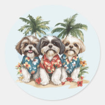 Shih Tzu Hunde tragen hawaiianische Shirts