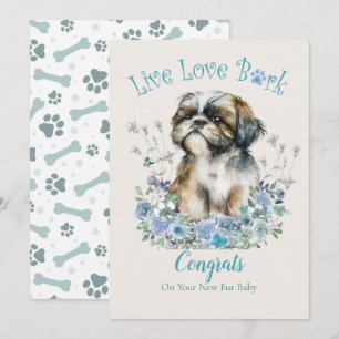 Shih Tzu Hundeadoption, Gotcha Tag Karte