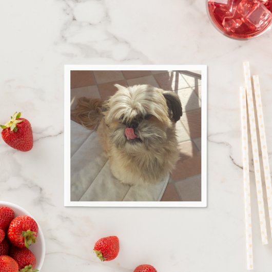 Shih Tzu Hundepapiernapkins Serviette (Beispiel)