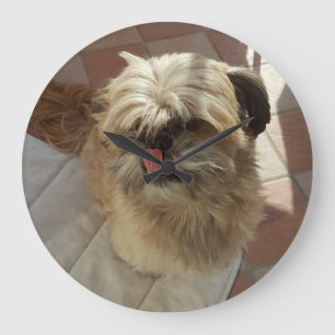 Shih Tzu Hundeuhr Große Wanduhr