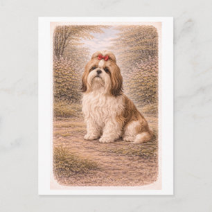Shih Tzu im Vintage-Stil Postkarte