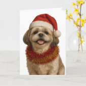Shih Tzu in a Santa hat Christmas card Karte (Gelbe Blume)