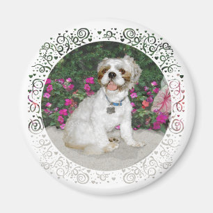 Shih Tzu in einer Gartenszene Magnet