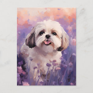 Shih Tzu in Lavender field Postkarte