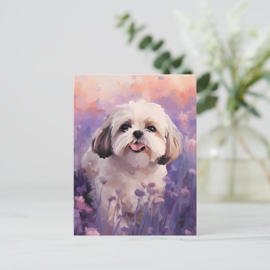 Shih Tzu in Lavender field Postkarte (Stehend Vorderseite)
