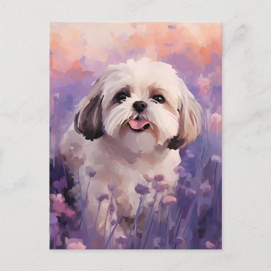Shih Tzu in Lavender field Postkarte (Vorderseite)