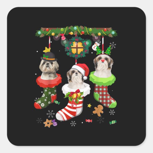 Shih Tzu in Socks Weihnachtsbeleuchtung Weihnachts Quadratischer Aufkleber (Vorderseite)