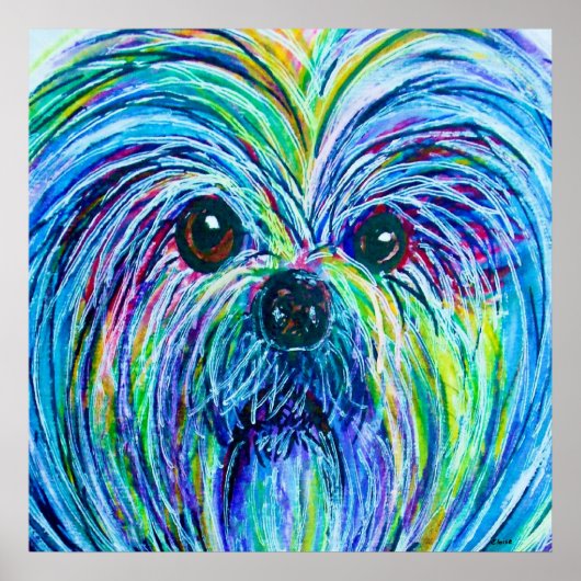 Shih Tzu Intense Colors Poster (Vorne)