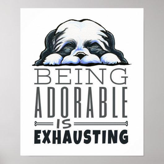 Shih Tzu ist bewundernswert Poster (Vorne)