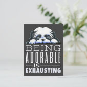 Shih Tzu ist bewundernswert Postkarte (Stehend Vorderseite)