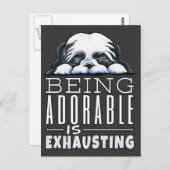 Shih Tzu ist bewundernswert Postkarte (Vorne/Hinten)