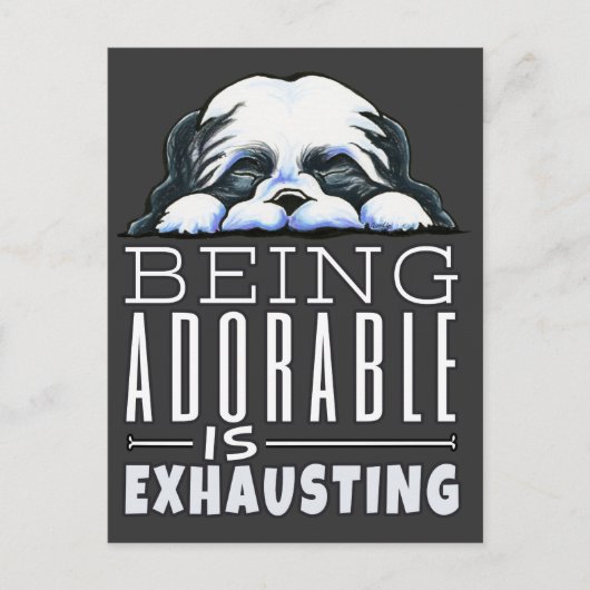 Shih Tzu ist bewundernswert Postkarte (Vorderseite)