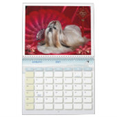 Shih Tzu Kalender (Jan 2027)
