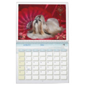Shih Tzu Kalender (Jan 2026)