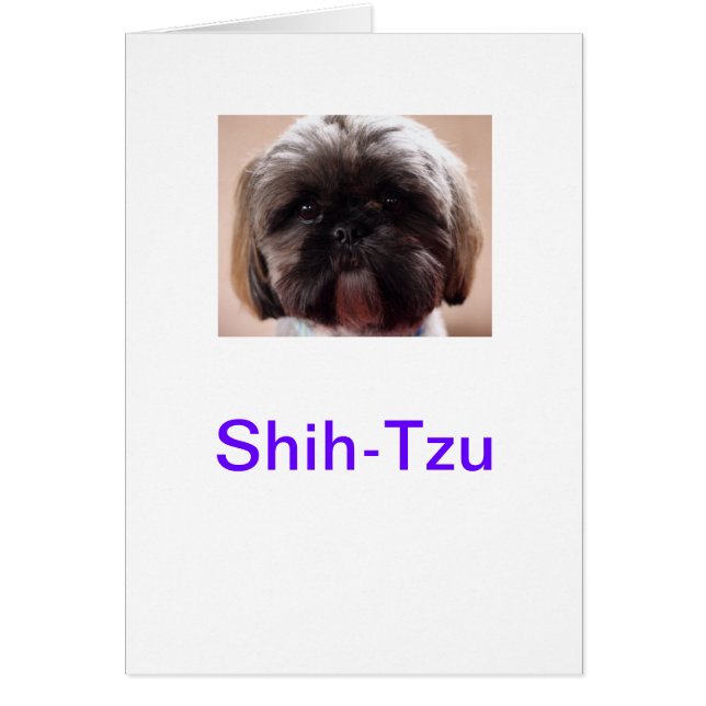 Shih-Tzu-Karte (Vorne)